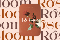 Mestro Serif || Modern Ligature Product Image 2