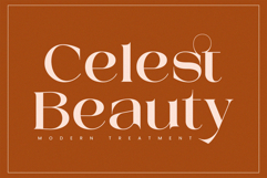 Mestro Serif || Modern Ligature Product Image 3