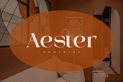 Mestro Serif || Modern Ligature Product Image 5