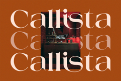 Mestro Serif || Modern Ligature Product Image 6