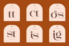 Mestro Serif || Modern Ligature Product Image 8