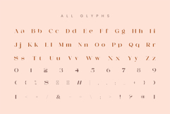 Mestro Serif || Modern Ligature Product Image 9