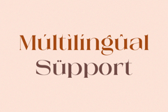 Mestro Serif || Modern Ligature Product Image 10