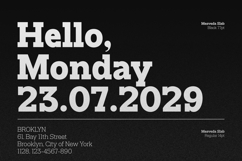 Mesveda Slab Product Image 9