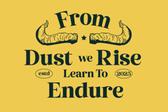 Metguy Behope - Bold Serif Display Product Image 4