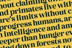 Metguy Behope - Bold Serif Display Product Image 12