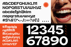 Metika - Display Bold Serif Product Image 10