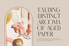 Mezaira - Modern Serif Font Product Image 5