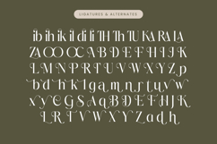 Mezaira - Modern Serif Font Product Image 18