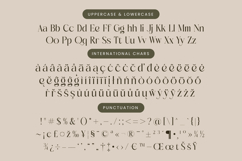 Mezaira - Modern Serif Font Product Image 19