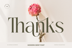 Mezaira - Modern Serif Font Product Image 20