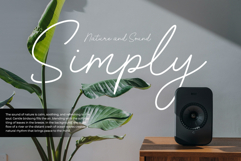 Misty Grey - Minimalist Script Font Product Image 4