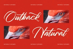 Mhantik Studyla - Bold Brush Font Product Image 2