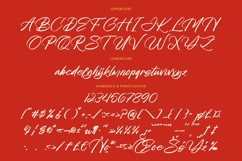 Mhantik Studyla - Bold Brush Font Product Image 18