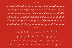 Mhantik Studyla - Bold Brush Font Product Image 19