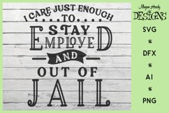 I Care Just Enough To Stay Out Of Jail Product Image 1