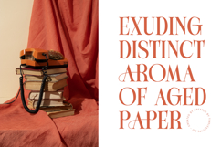 Michela Azorha - Serif Display Font Product Image 4