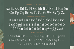Michela Azorha - Serif Display Font Product Image 19