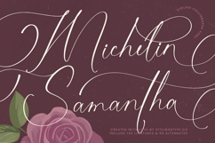 Michelin Samantha - Stylish Calligraphy Font Product Image 1