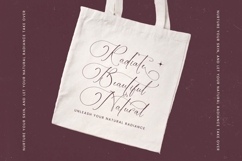 Michelin Samantha - Stylish Calligraphy Font Product Image 3