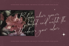 Michelin Samantha - Stylish Calligraphy Font Product Image 9