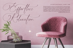 Michelin Samantha - Stylish Calligraphy Font Product Image 11