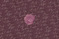 Michelin Samantha - Stylish Calligraphy Font Product Image 14