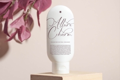 Michelin Samantha - Stylish Calligraphy Font Product Image 15