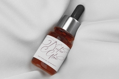 Michelin Samantha - Stylish Calligraphy Font Product Image 17