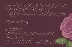 Michelin Samantha - Stylish Calligraphy Font Product Image 18