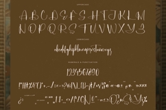 Michelyne - Stylish Signature Font Product Image 18