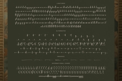 Michelyne - Stylish Signature Font Product Image 19