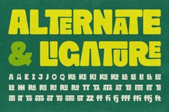 Mickon - Bold Display Font Product Image 10