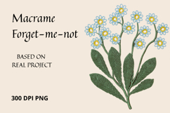 Macrame Forget-me-not PNG Botanical Clipart Product Image 1