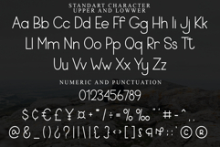 MICROPHONE Product Image 4