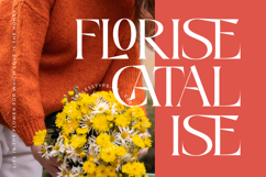 Midlife Cricise - Modern Display Font Product Image 4