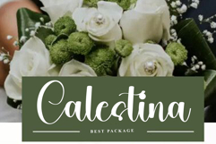 Midnight Billiard Product Image 2