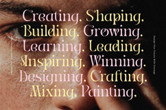 Midnight Company - Modern Serif Product Image 6