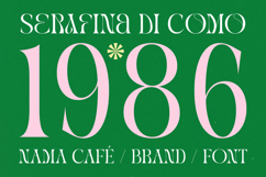 Midnight Company - Modern Serif Product Image 7