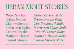 Midnight Company - Modern Serif Product Image 17