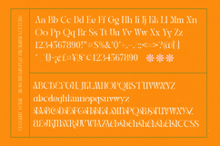 Midnight Company - Modern Serif Product Image 19