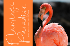 Midnight Diamond Product Image 3