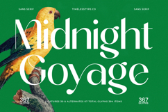 Midnight Goyage - Modern Sans Serif Font Product Image 1