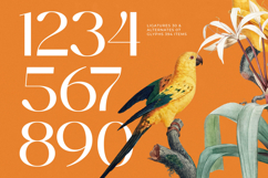 Midnight Goyage - Modern Sans Serif Font Product Image 17