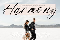 Midnight Horizon Product Image 6