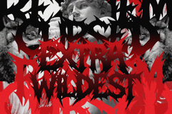 MIDNIGHT LEGACY Black Metal Font Product Image 10