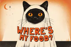 Midnight Meow Halloween | Web Font Product Image 3