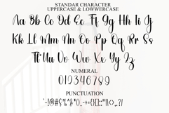 Midnight Wonderful Product Image 8