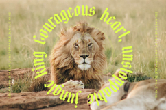 Midnights Kings - New Blackletter Serif Product Image 13