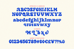 Mie Lobak Playful Retro Slab Serif Display Font Product Image 6